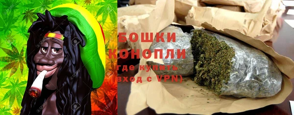 шишки Абинск