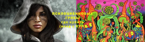 шишки Абинск