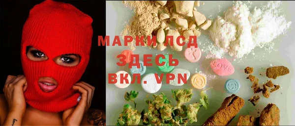 шишки Абинск