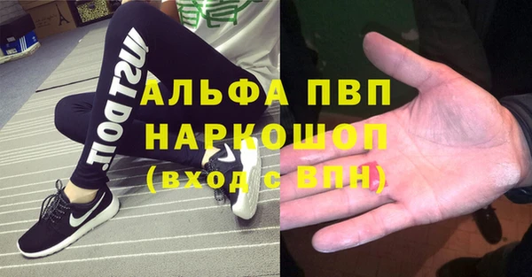 шишки Абинск