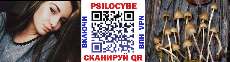дарнет шоп Чегем блэк спрут ССЫЛКА Галлюциногенные грибы Psilocybe